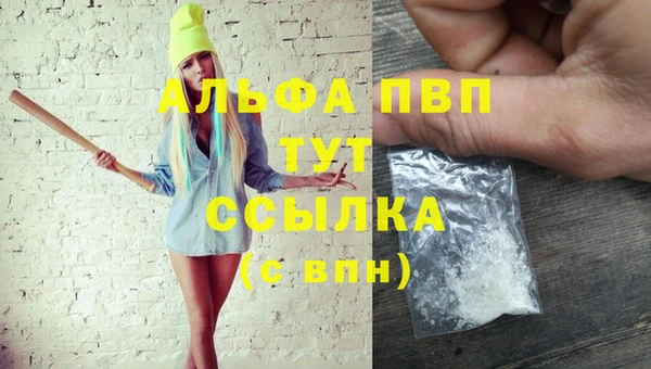 ECSTASY Армянск