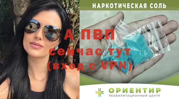 эйфоретик Арсеньев