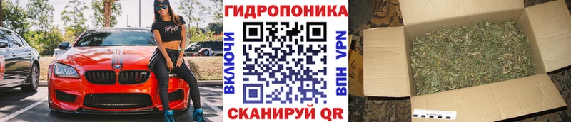хочу наркоту  Суровикино  Бошки марихуана марихуана 